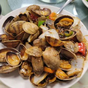 Clams