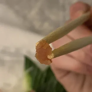 Eyelash in spicy tuna mix