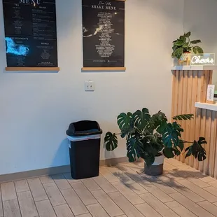 a plant in the corner of the room