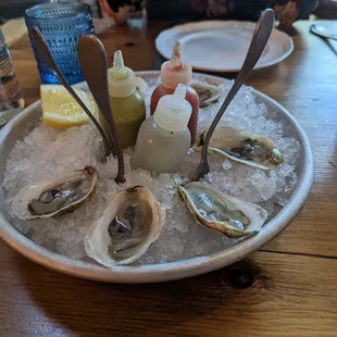 East Coast Oysters