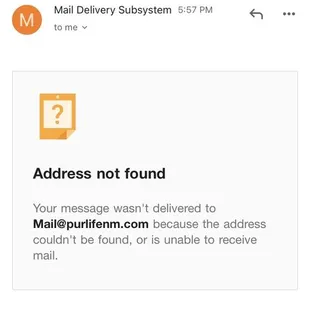 The email could not go through