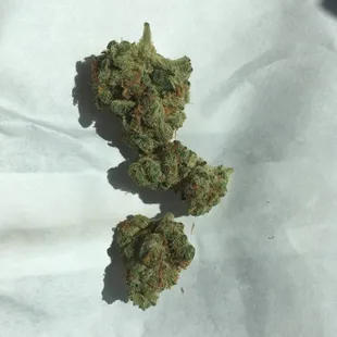 Today's Sativa special: Tangie