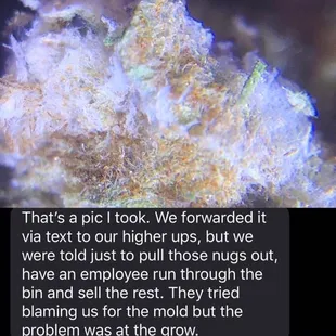 employs who showed management the PM in the sensu OG and were instructed to throw away the visible signs and sell the rest.