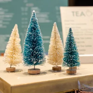 three miniature trees on a table