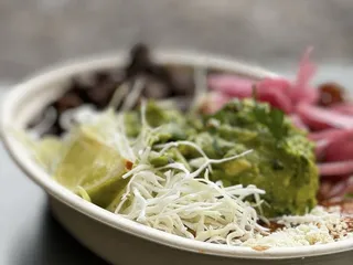 Barracuda Taco Stand