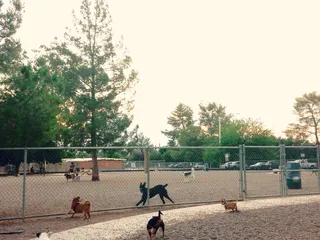 Palo Verde Park