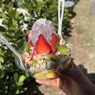 Survivor 1 scoop Açaí and 2 scoops Pitaya Bowl