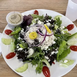 Tuna salad - huge and delicious!