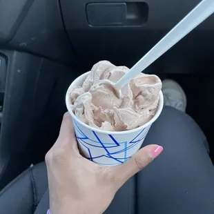 a hand holding a cup of ice cream