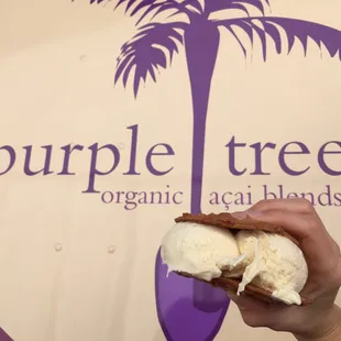 Vanilla IceCream sandwiched between two almond cookies