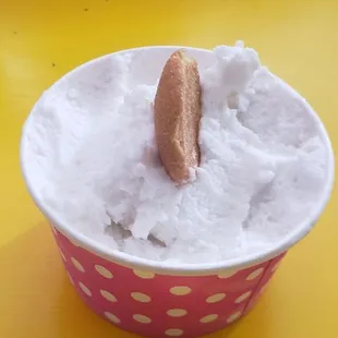 Coconut