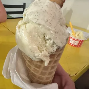 Vanilla gelato