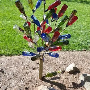 Apparently wine grows on trees :P.