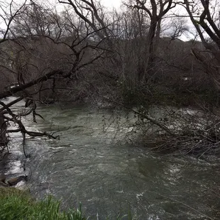 High water levels closed off portions of the nature trails.