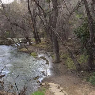 The nature trail is a bit underwater.