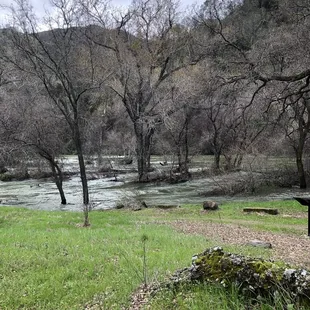 Near Putah Creek public fishing access. High water! So many storms this winter, many trees down, use caution.