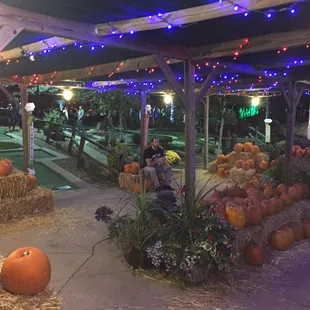 Fall pumpkin patch and lights at Putter&apos;s Pride