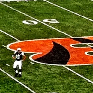 Bengals and all the games shown here