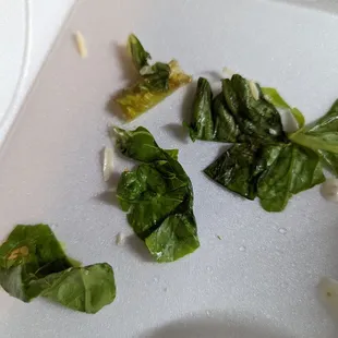 Brown and old lettuce
