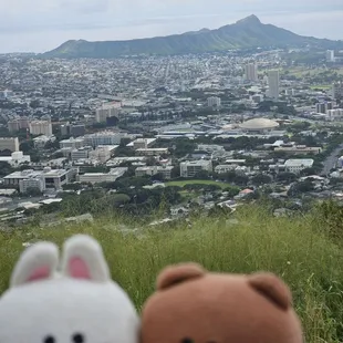 The view of Diamondhead on 1-21-24