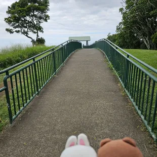Find this pathway!