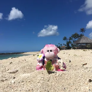 GMonkey do 2021