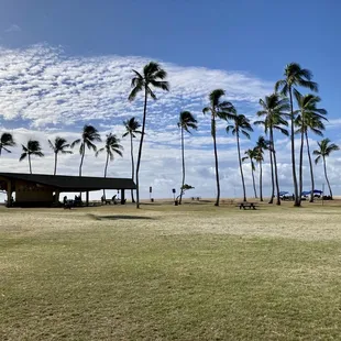 View from Parking Lot