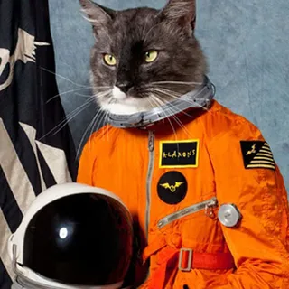 Catstronaut G.