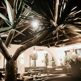 sushi and sashimi, interior