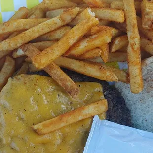 Chesseburger with fries