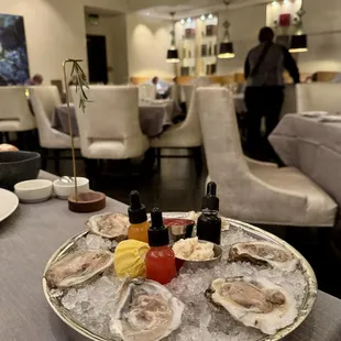 oysters