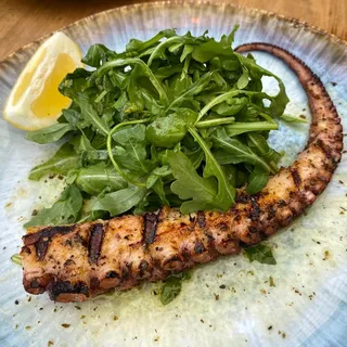 Grilled Octopus