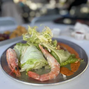 Crustacean Creation
