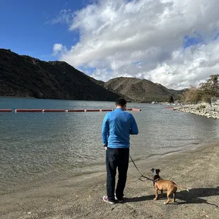 Pretty area to walk the dog.