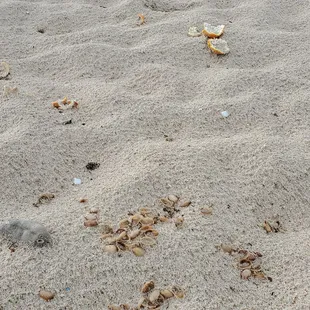 Pyramid Rock Beach