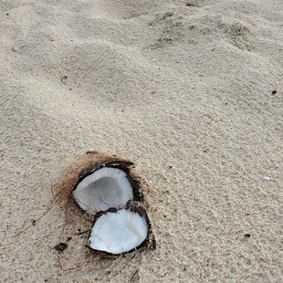 Not a coconut tree in sight...what is wrong with people?