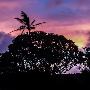 The sunset skies are pretty neat here.