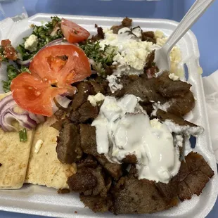 Gyro Plate