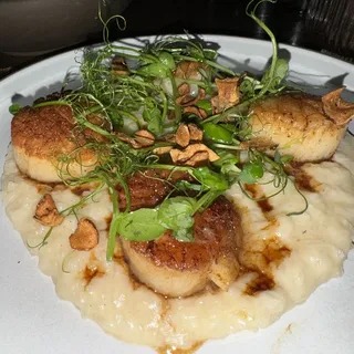 Scallops*