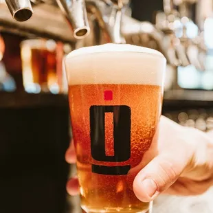 a hand holding a pint of beer