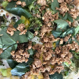 Took bad pizza out raw spinach, and meatless sausage to hide it