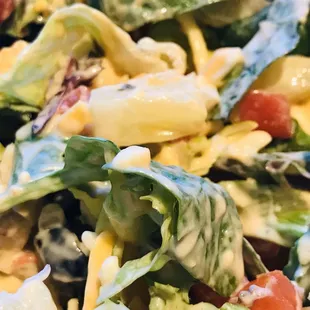 pasta, food, pasta dish