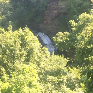 The view from the patio deck