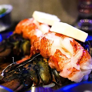 Lobster