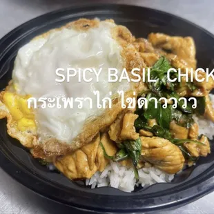 spicy basil chicken