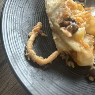 Found an artery in my burrito. Nope