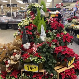 a display of poinsettis in a store