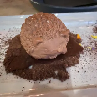 Birthday dessert! Chocolate truffle with raspberry sorbet ?