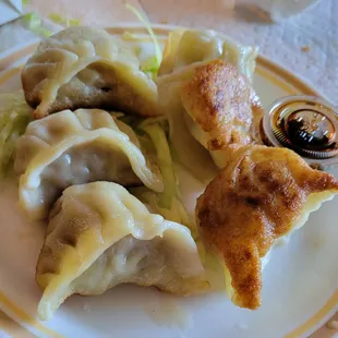 Potstickers (6)