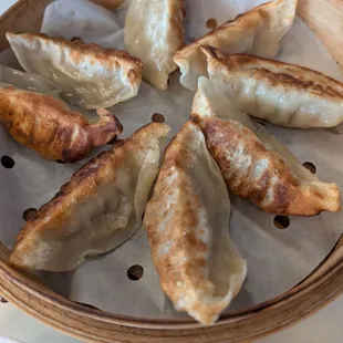 Chicken pot stickers